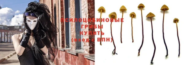 герыч Сосновоборск