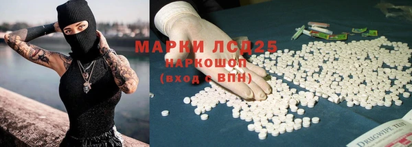 спиды Сосновка