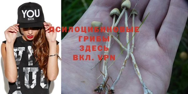 спиды Сосновка